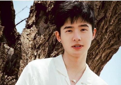 刘昊然娱乐圈爆料,揭秘明星幕后故事