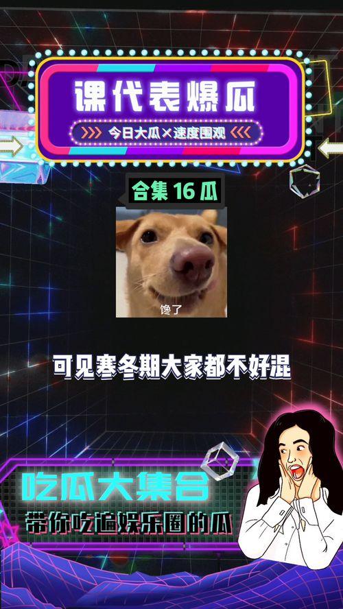 娱乐八卦开心吃瓜,明星们的甜蜜瓜田